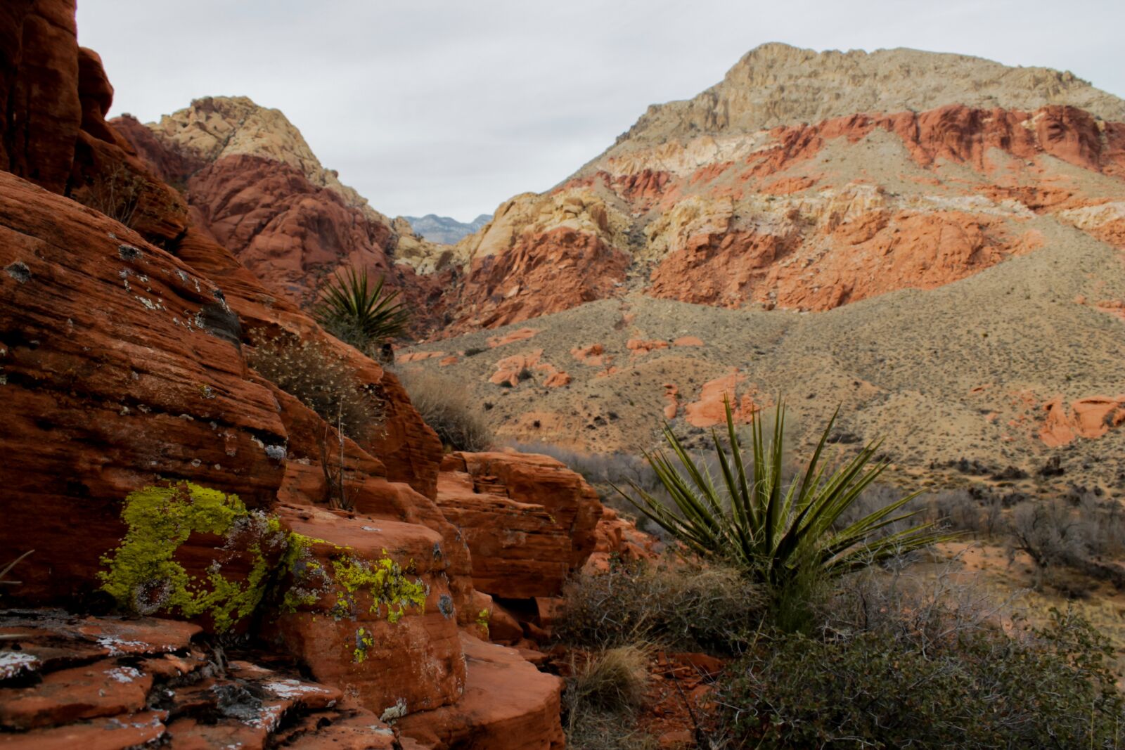 Canon EOS 1100D (EOS Rebel T3 / EOS Kiss X50) sample photo. Utah, red rocks, red photography