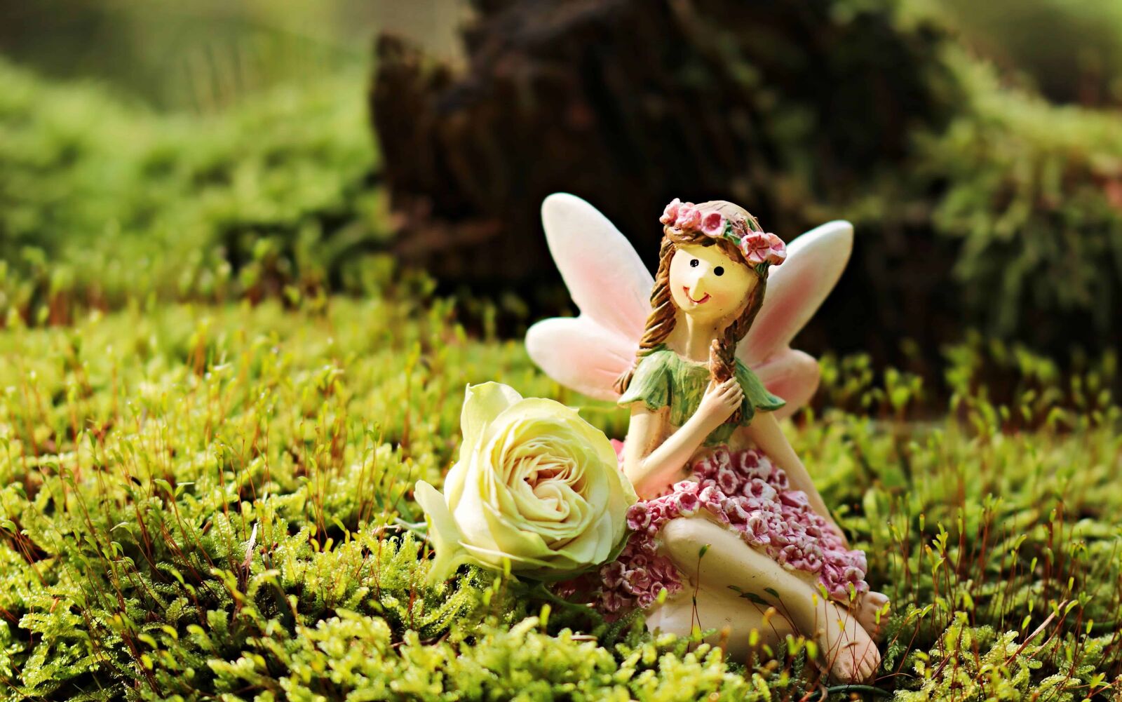 Canon EOS 80D sample photo. Toy, object, grass, fairy photography
