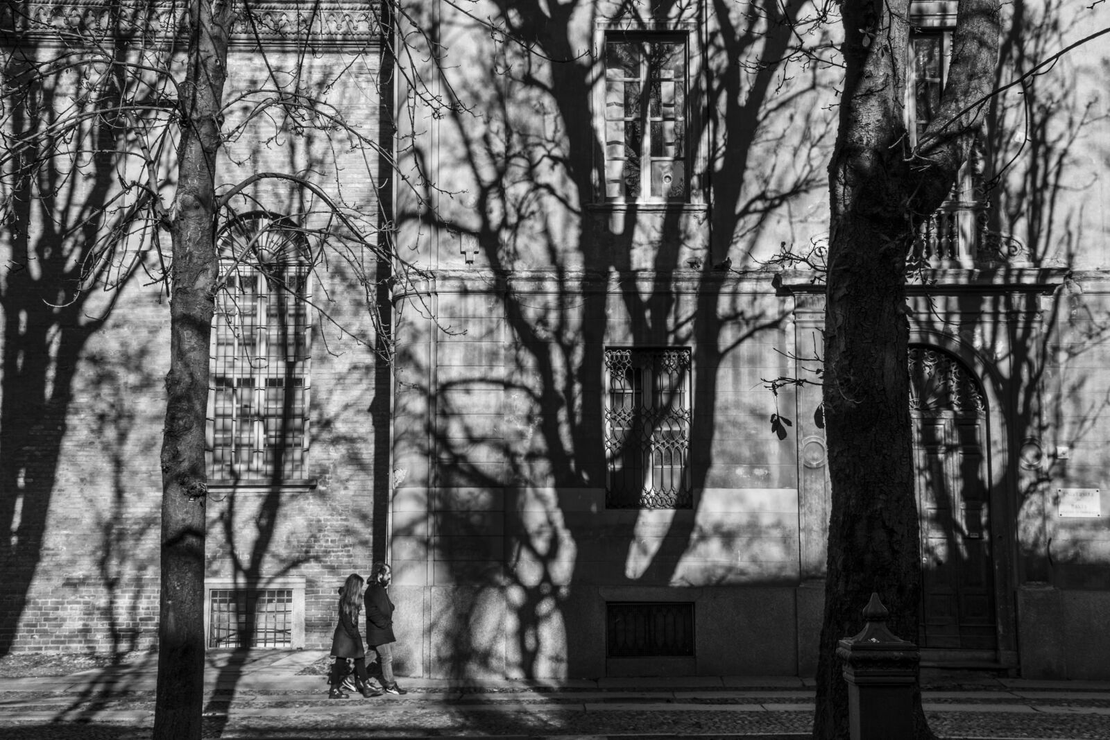 Nikon D7100 sample photo. Autumn, shadows, landscape photography