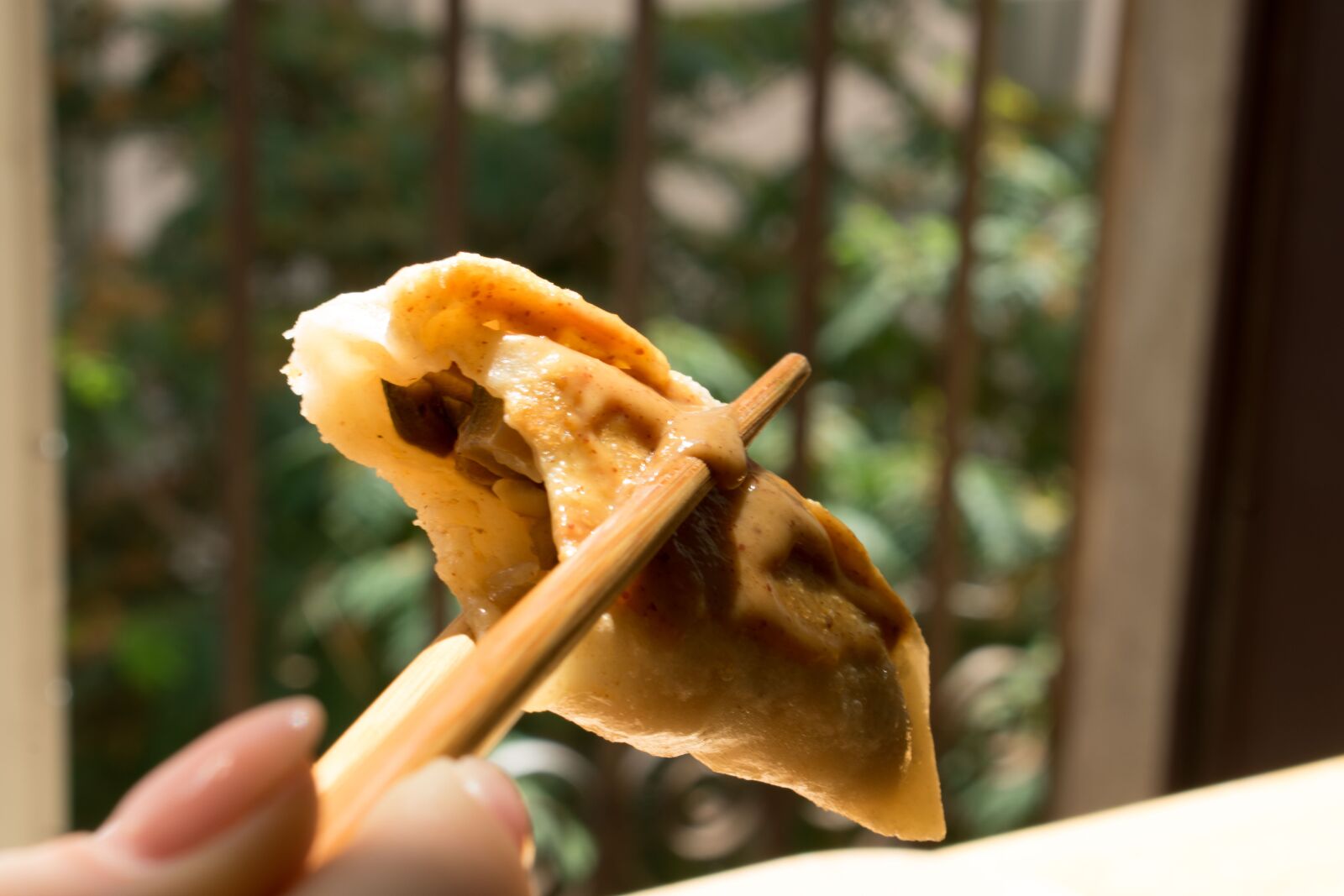 Nikon D3400 sample photo. Food, dumplings, eat photography