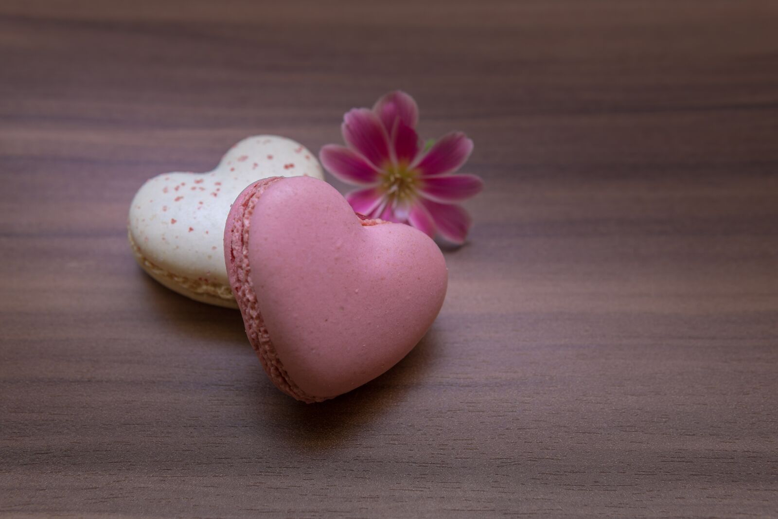 30mm F1.4 DC DN | Contemporary 016 sample photo. Macarons, heart shape, love photography