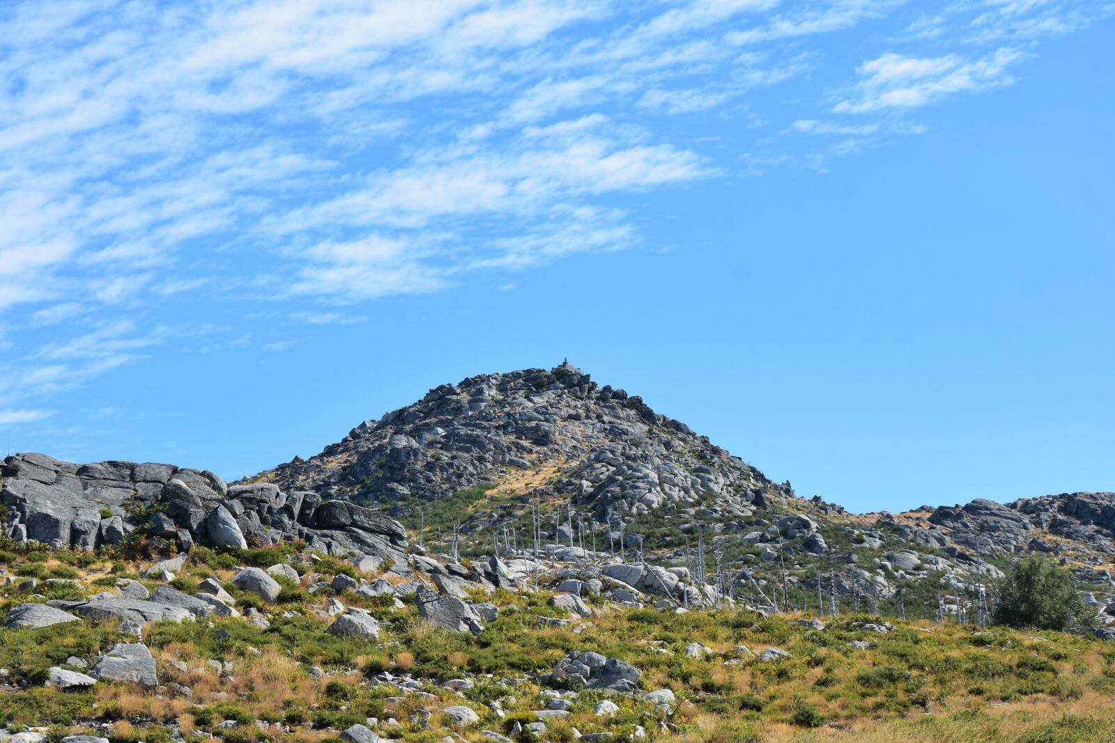 Nikon D3400 sample photo