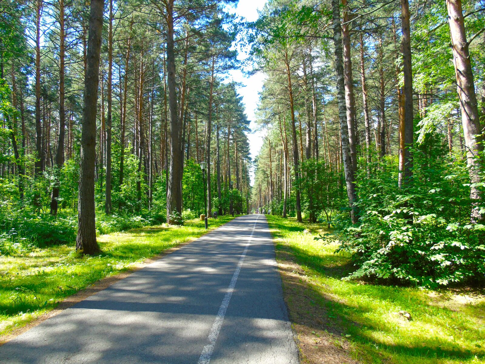 Sony Cyber-shot DSC-H400 sample photo. Russia, siberia, nature photography