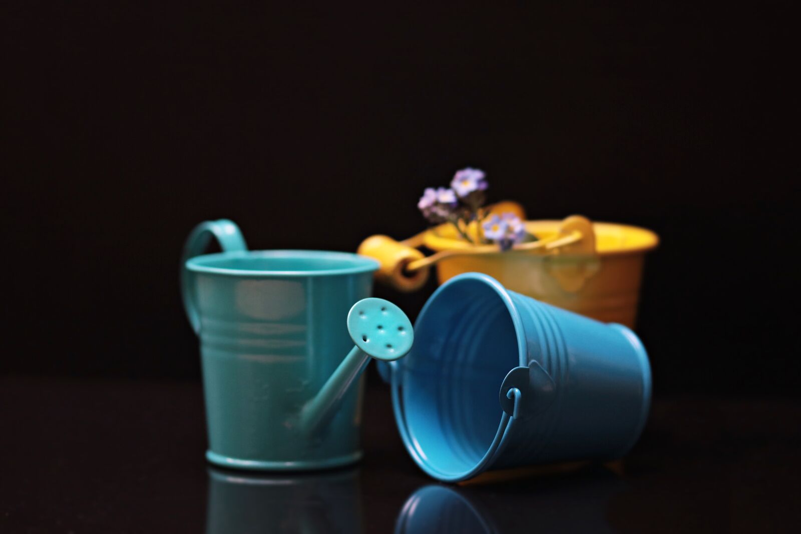Canon EOS 80D sample photo. Bucket, forget me not photography