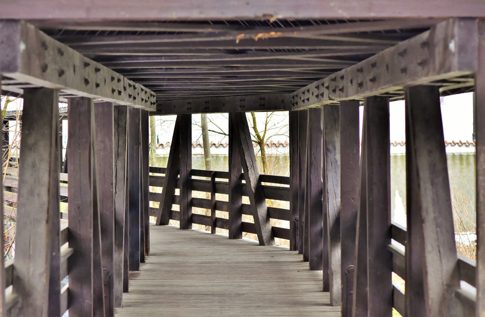 Nikon D7200 sample photo. Bridge, wooden bridge, transition photography