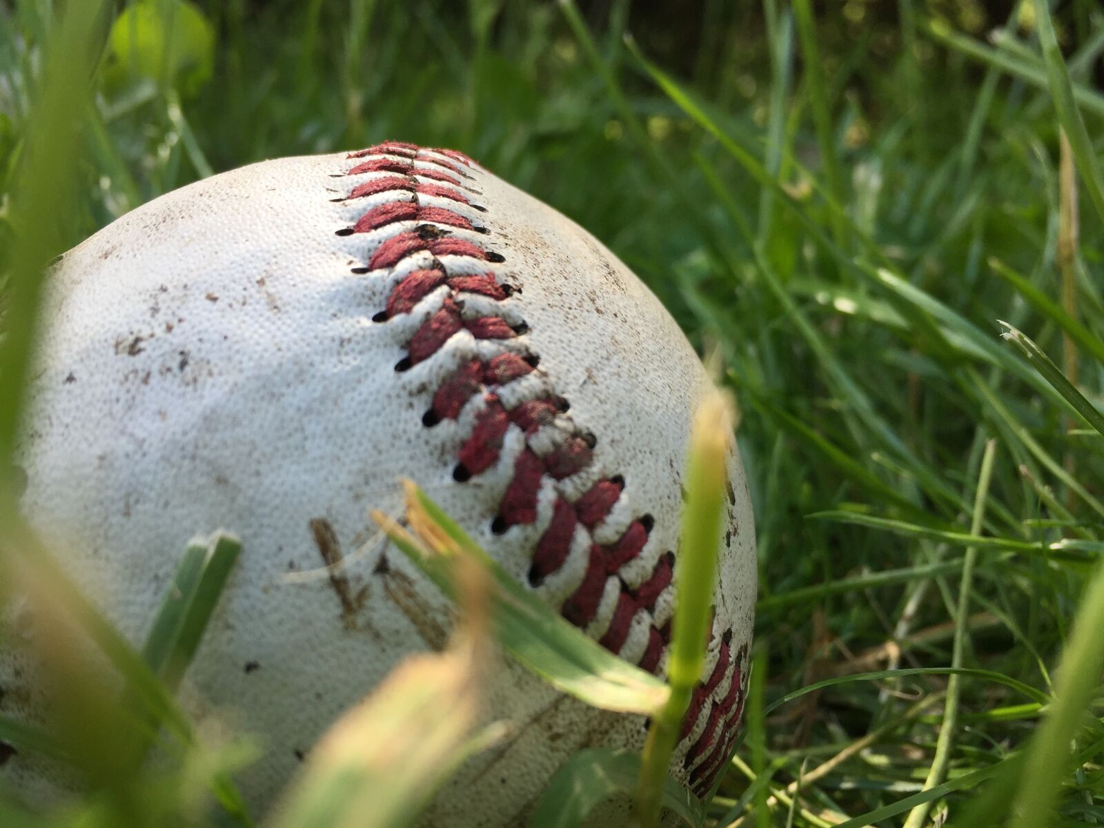 Apple iPhone 6 sample photo. Dirty, baseball, ball photography