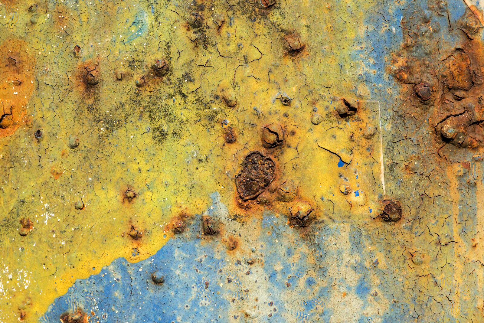 Nikon D750 sample photo. Rust, rusty, metal photography
