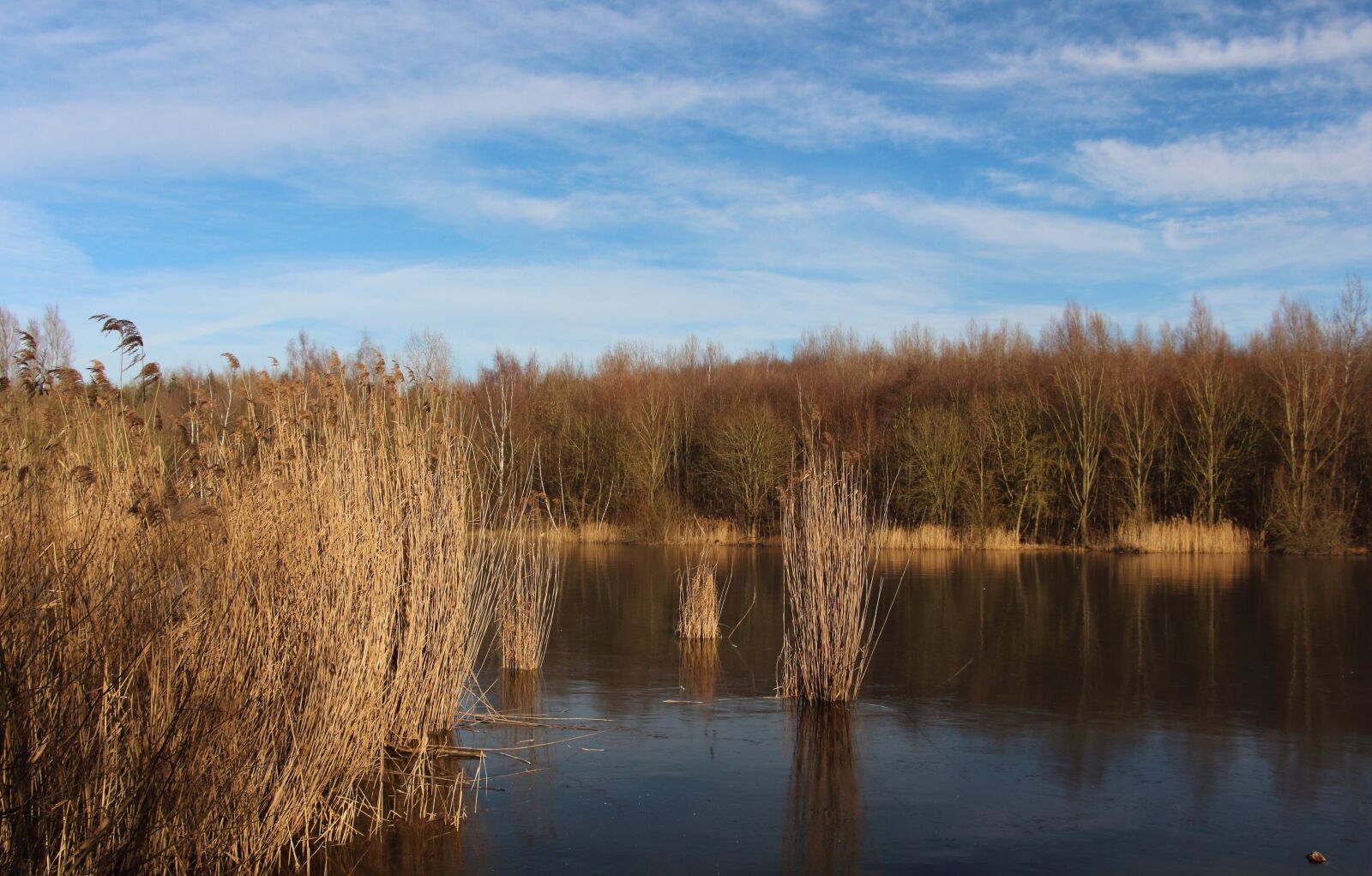Canon EOS 700D (EOS Rebel T5i / EOS Kiss X7i) sample photo. Lake, frozen, winter photography