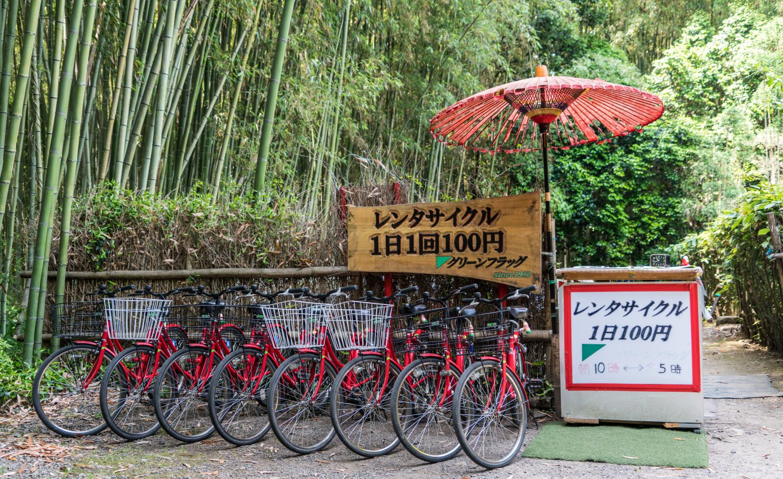 Sony a7R II + Sony FE 24-240mm F3.5-6.3 OSS sample photo. Japan, bike rentals, bamboo photography