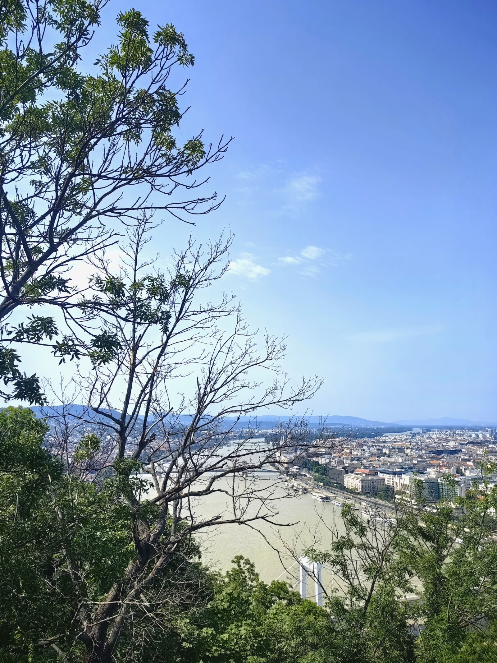 HUAWEI MATE 50 PRO sample photo