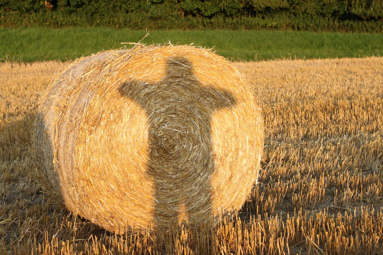 Canon EOS 500D (EOS Rebel T1i / EOS Kiss X3) sample photo. Stohballen, shadow, straw photography