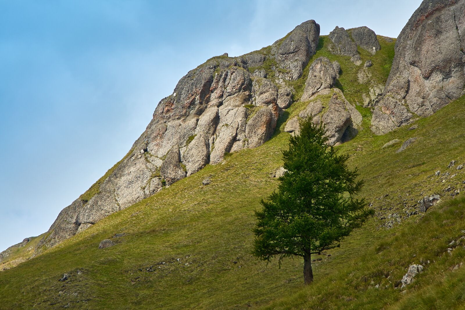 Nikon D200 sample photo. Tree, mountain, landscape photography