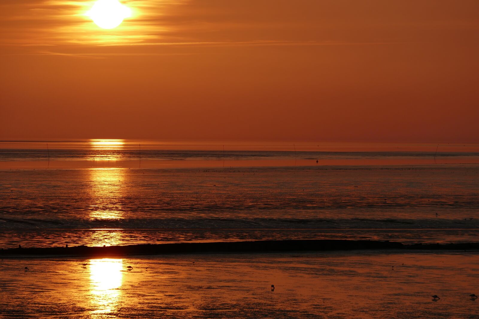 Panasonic Lumix DMC-FZ1000 sample photo. Sunset, north sea, wadden photography