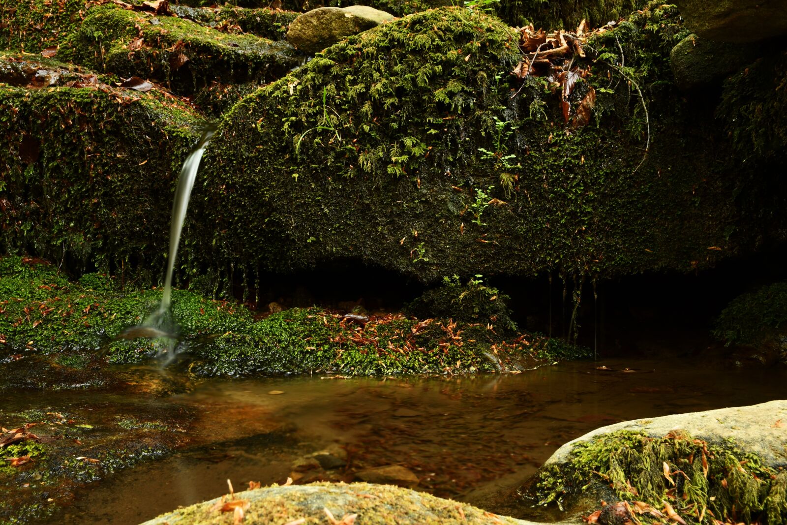 Nikon D7500 sample photo. Waterfall, water, nature photography