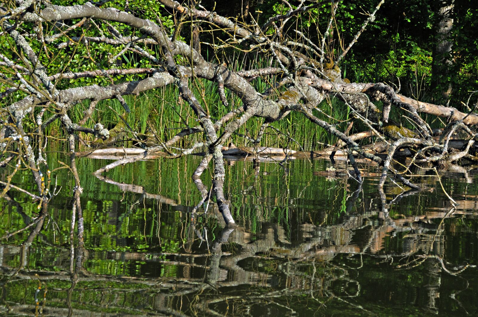 Nikon D300 sample photo. Poland, ostpreußen, masuria photography