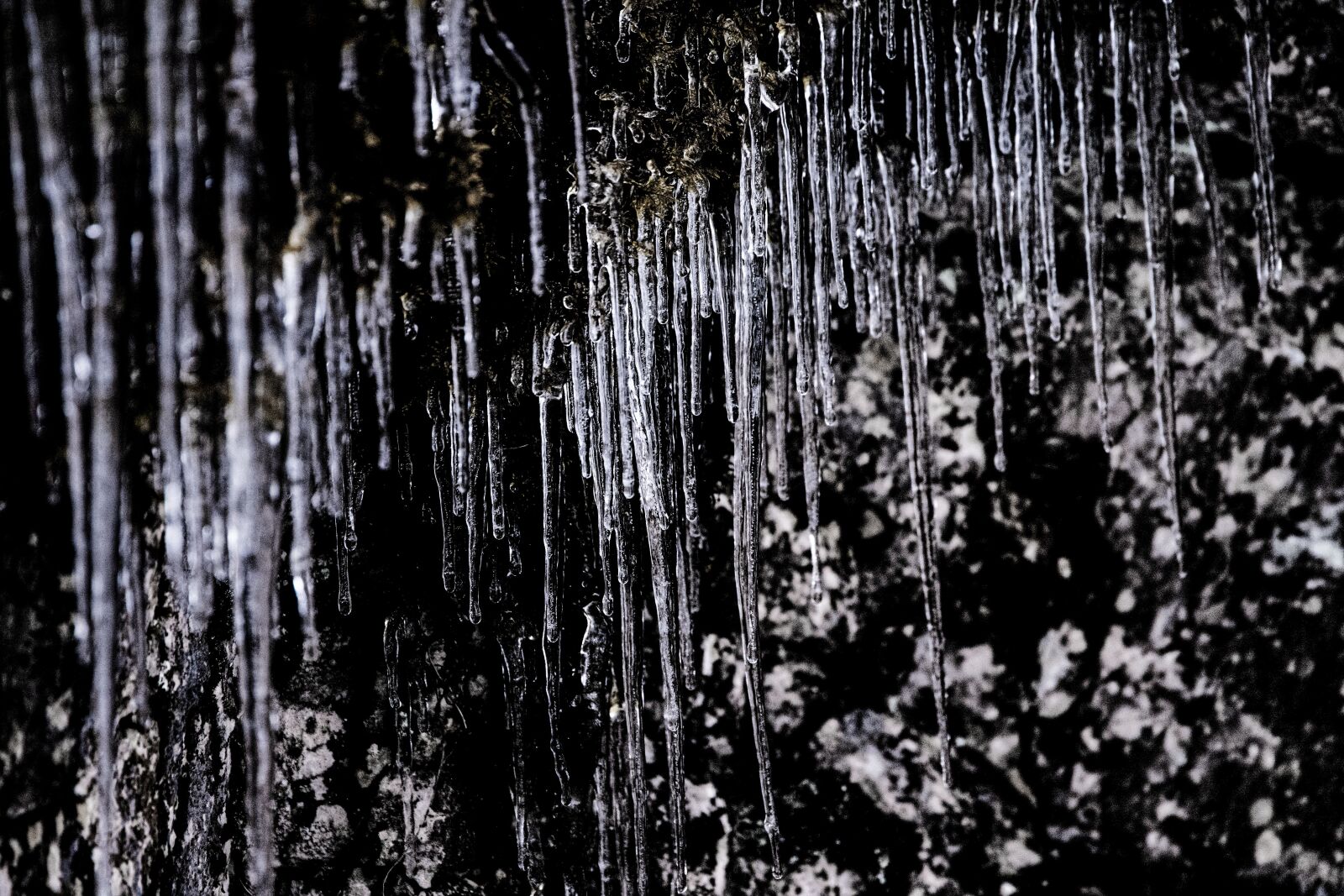 Canon EOS 6D Mark II sample photo. Ice, gefrohren, cold photography