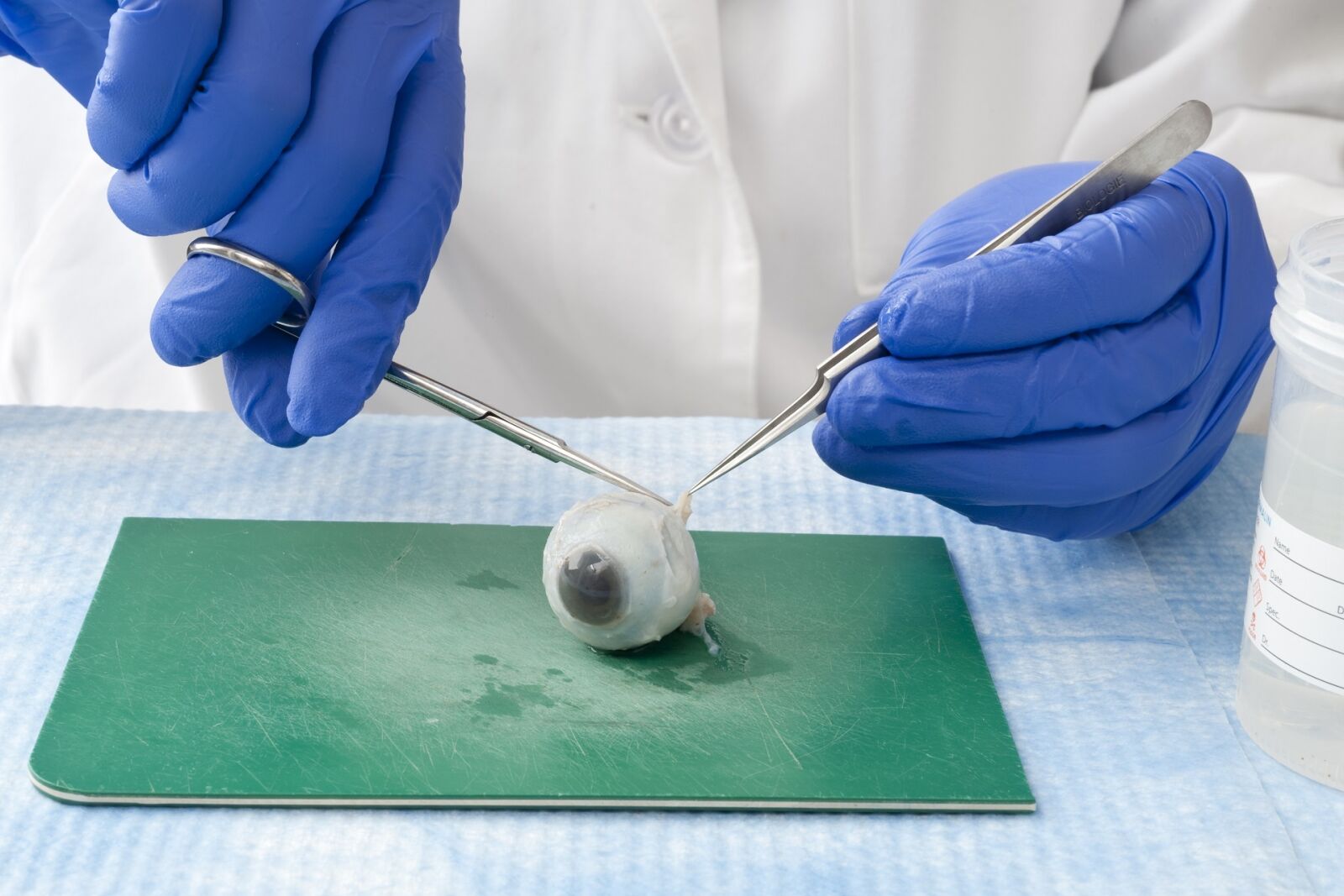 Nikon D700 sample photo. Scientist, laboratory, research photography