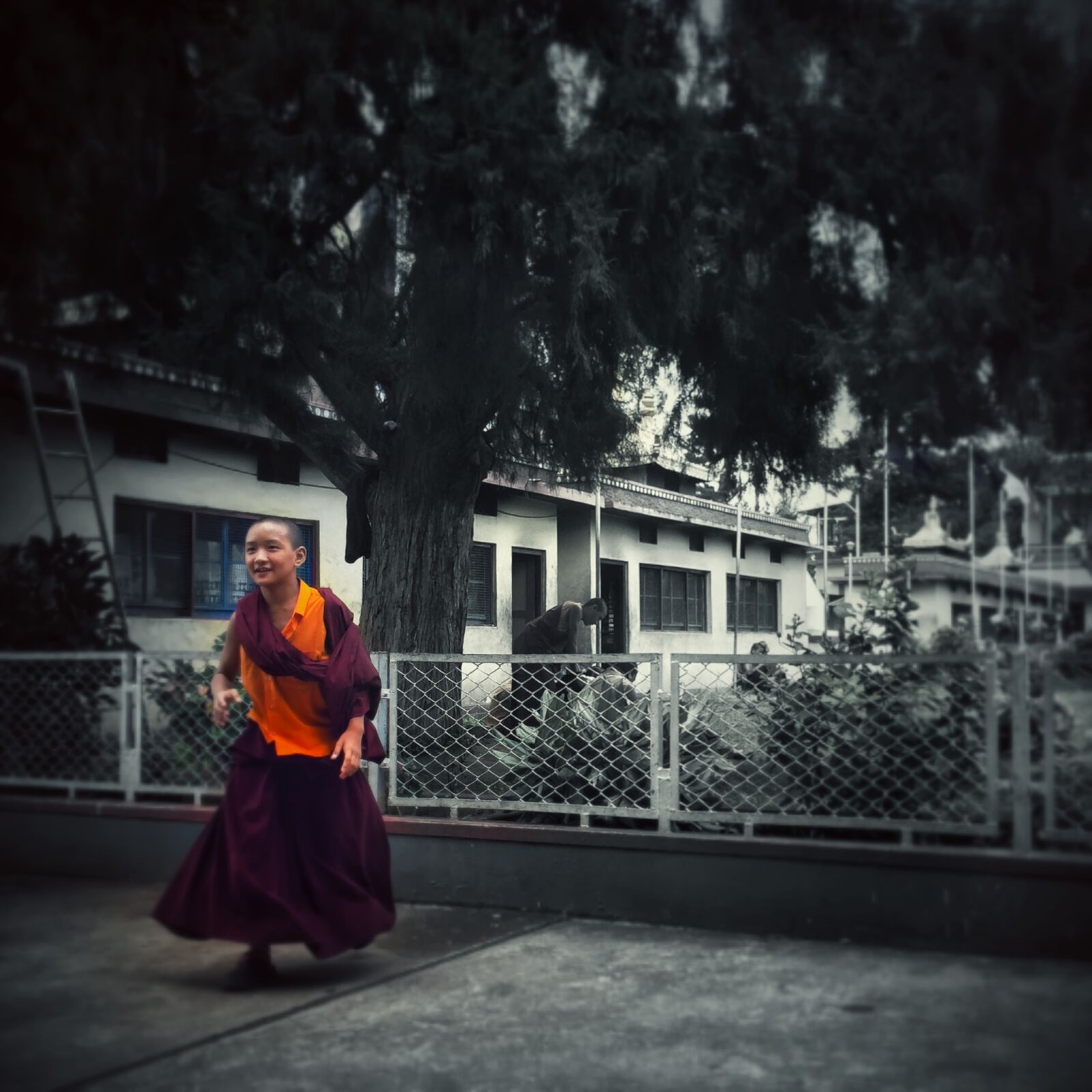 iPhone 6 back camera 4.15mm f/2.2 sample photo. India, monk, happiness, smile photography
