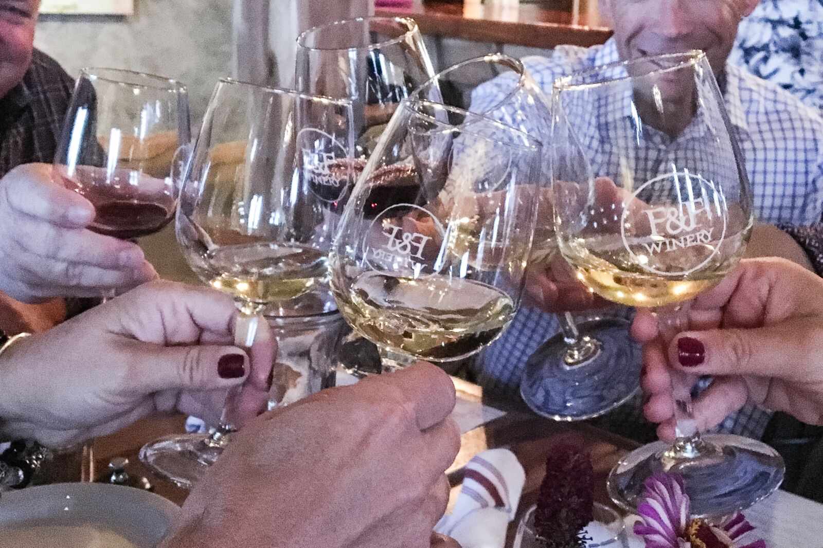 Apple iPhone 6s sample photo. Friends, toast, wine, glasses photography