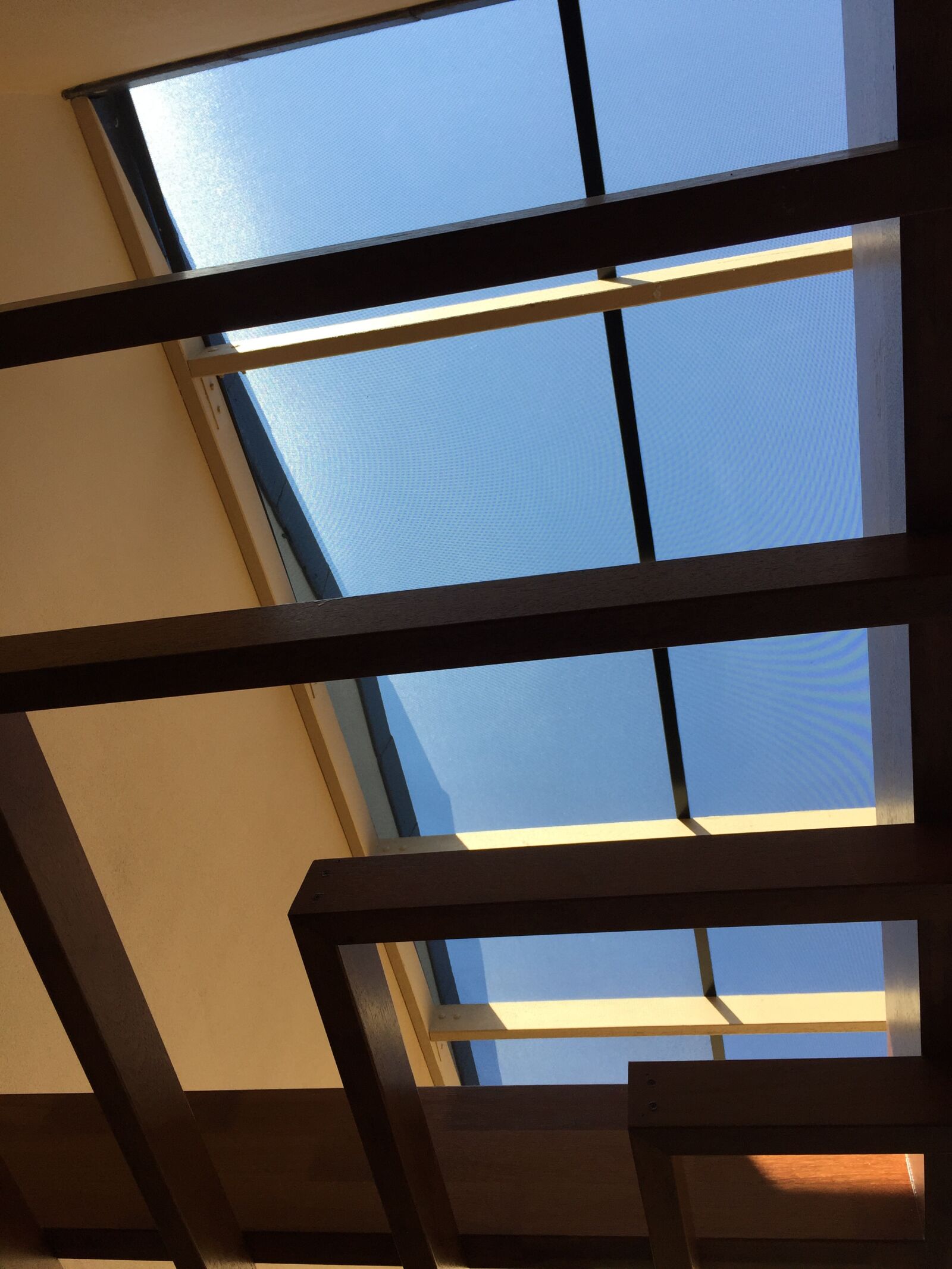 iPhone 6 back camera 4.15mm f/2.2 sample photo. Atrium, stainless, mesh photography