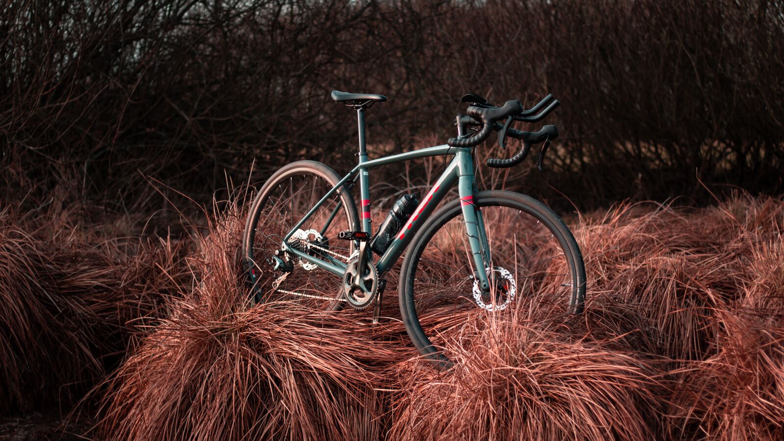 Canon EOS 700D (EOS Rebel T5i / EOS Kiss X7i) sample photo. Bike, excursions, tour photography