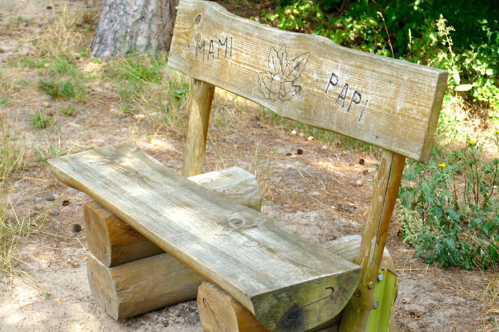 Panasonic Lumix DMC-FZ1000 sample photo. Bank, wood, forest photography