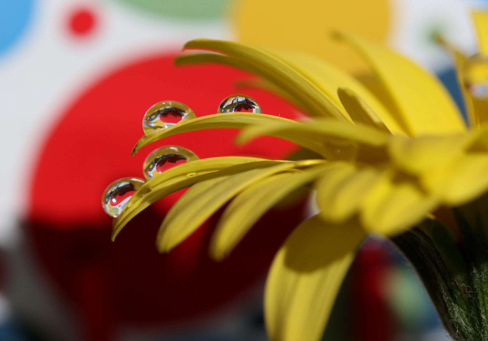 Canon EF-S 60mm F2.8 Macro USM sample photo. Drops, water, macro photography