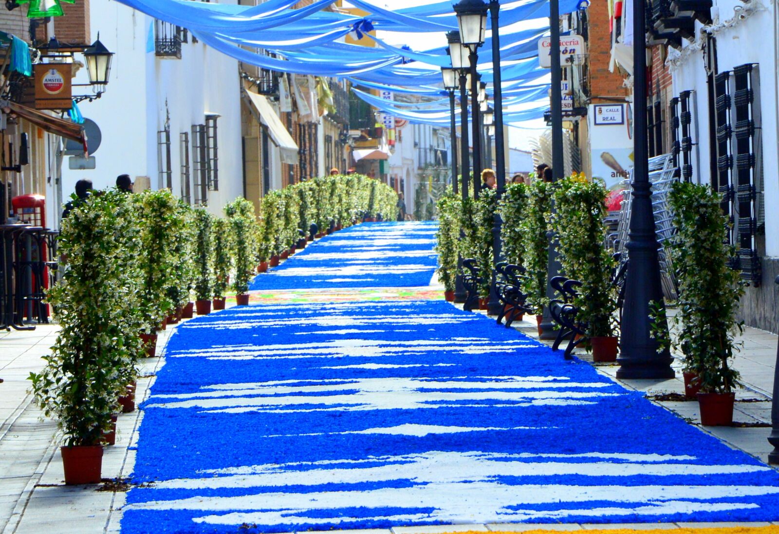 Nikon D3200 sample photo. Corpus, torrenueva, procession photography