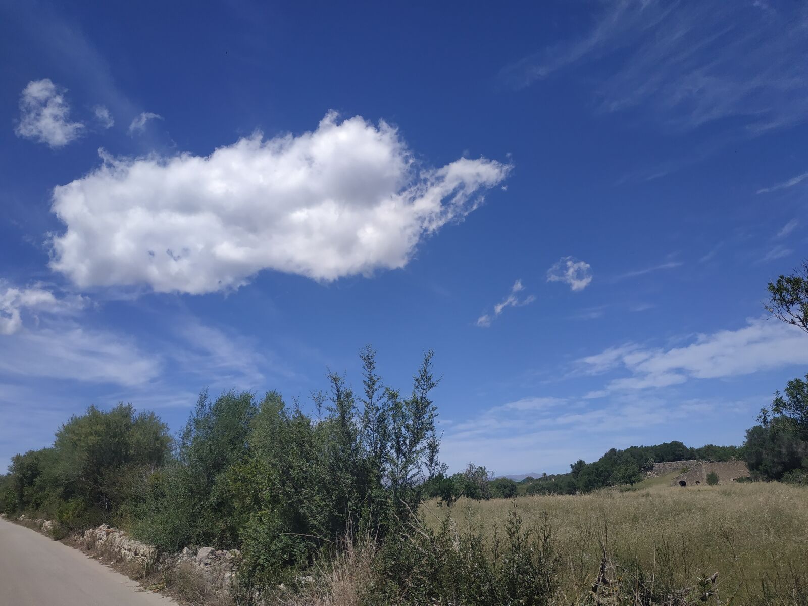 Xiaomi Redmi Note 5 sample photo. Field, countryside, farm photography