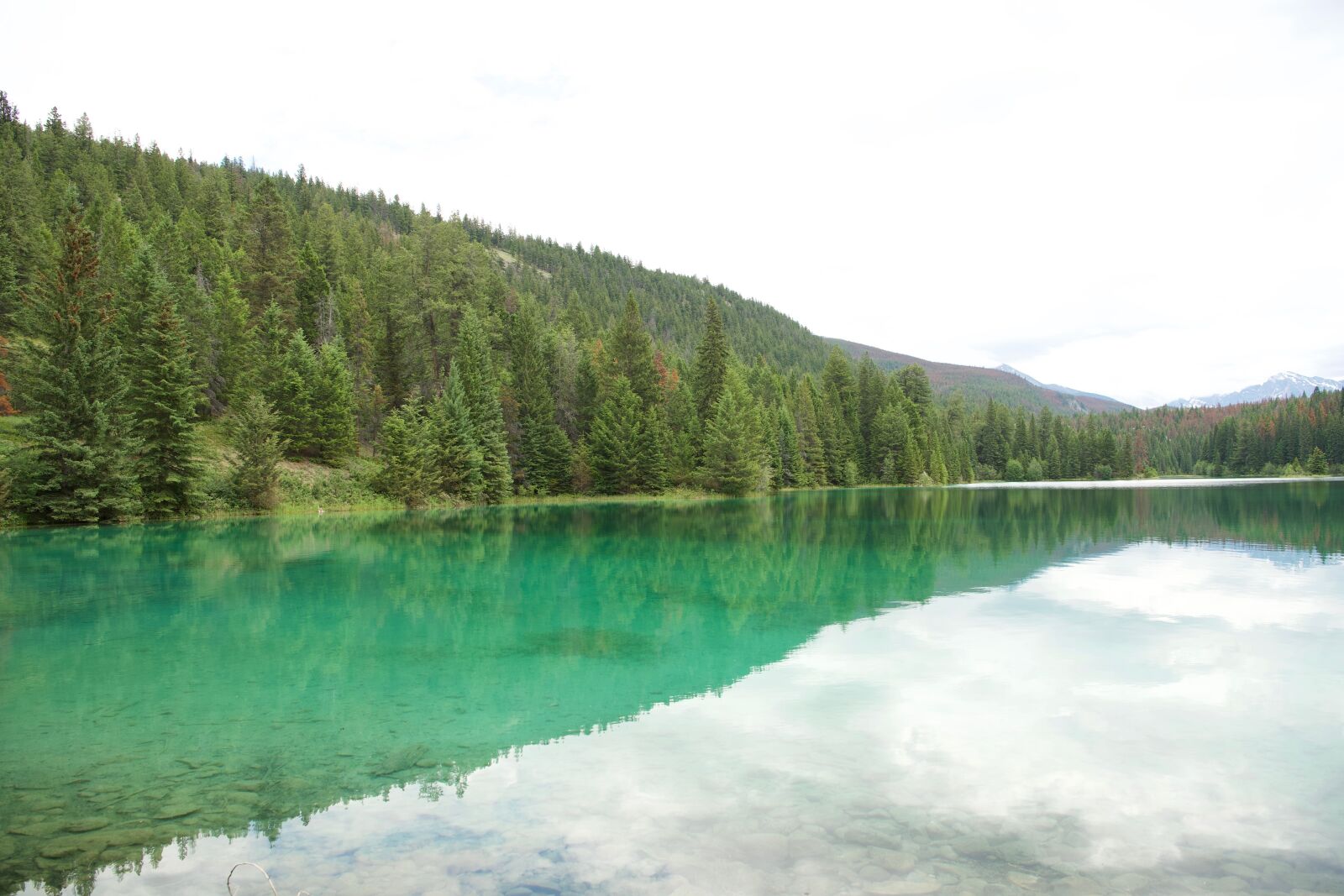 Nikon D5 sample photo. Five lakes, canadian rockies photography