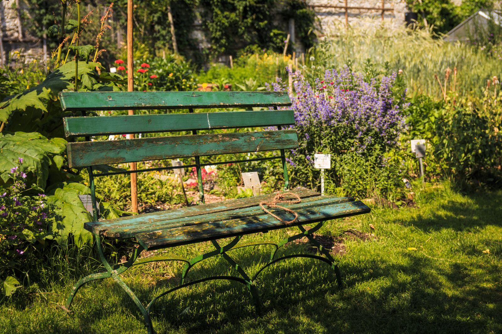 Canon EOS 650D (EOS Rebel T4i / EOS Kiss X6i) sample photo. Bank, wood, bench photography