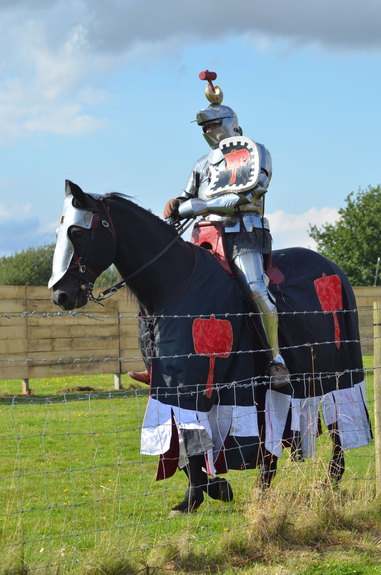 Nikon D7000 sample photo. Jousting, costume, armour photography