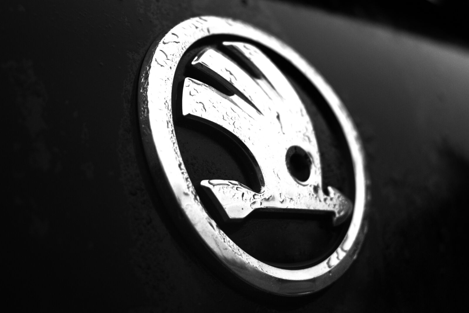 Nikon D3300 sample photo. Logo, skoda car, skoda photography