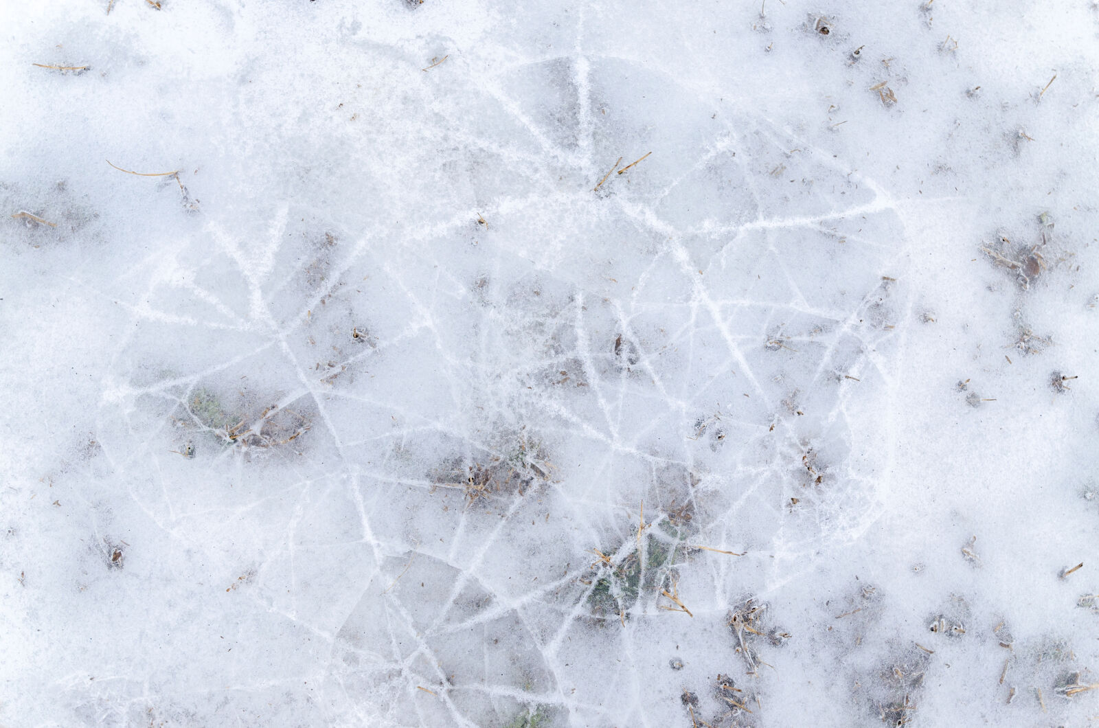 Nikon D5100 sample photo. Abstract, arctic, backdrop, background photography