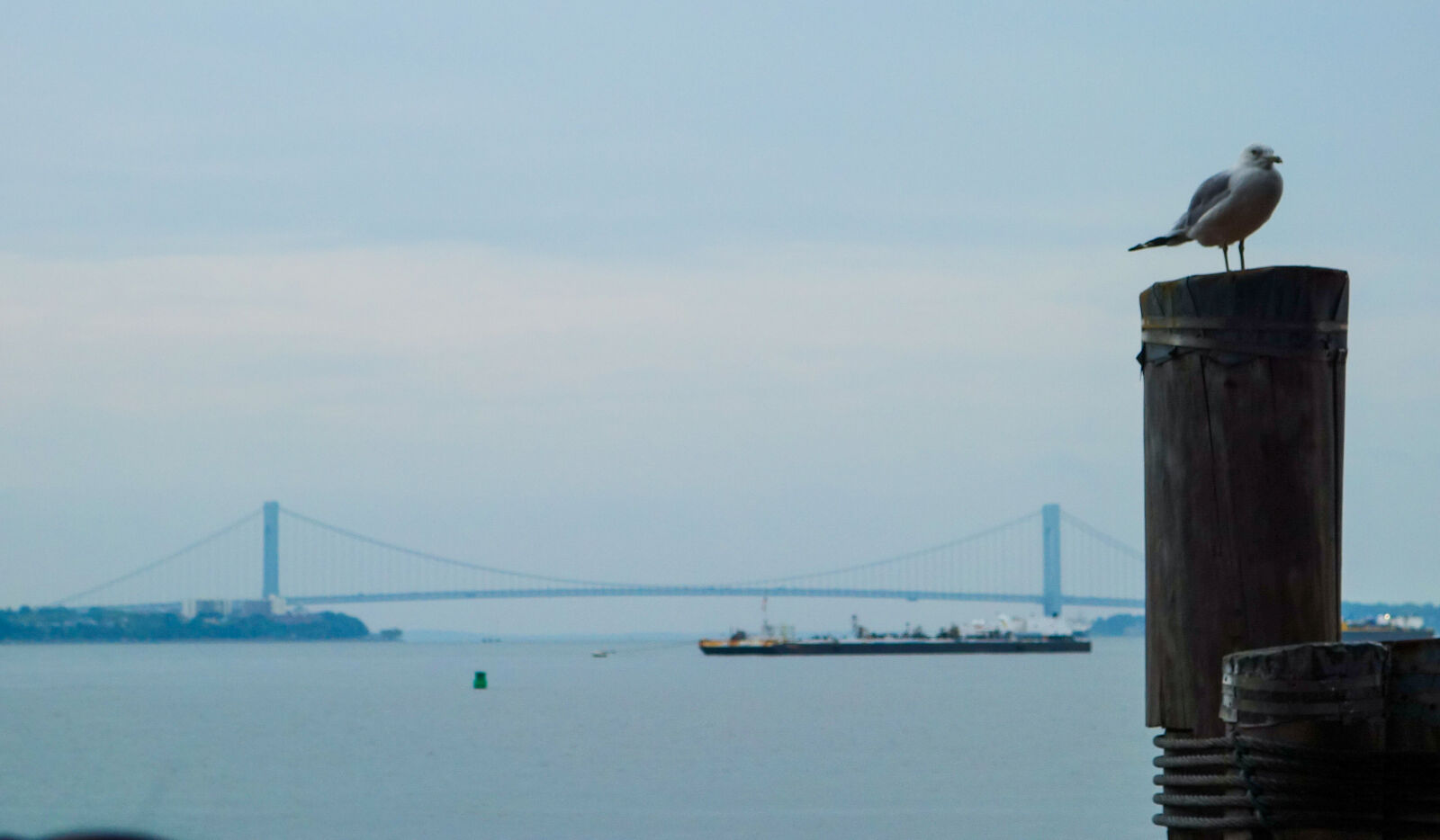 Sony Cyber-shot DSC-RX100 sample photo. Bird, bridge, cargo, ship photography