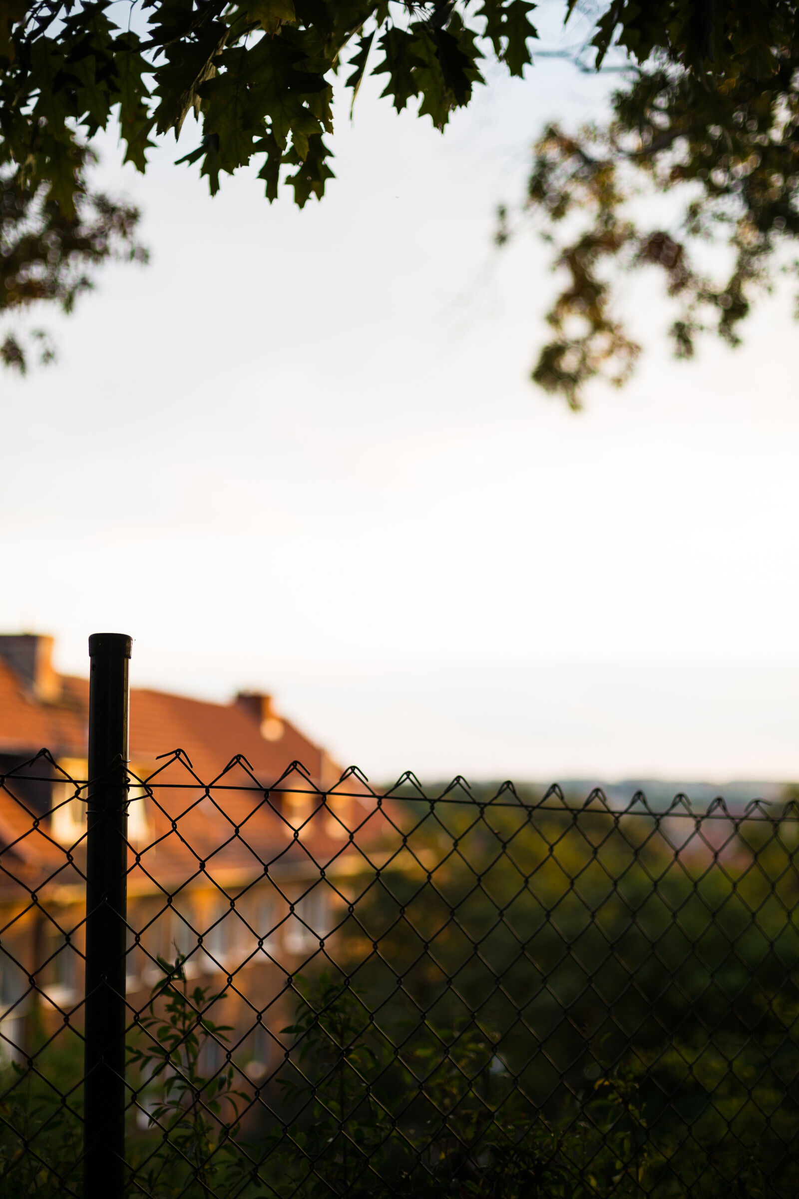 Canon EOS 6D + Canon EF 50mm F1.4 USM sample photo. Autumn, fence, house, leaves photography
