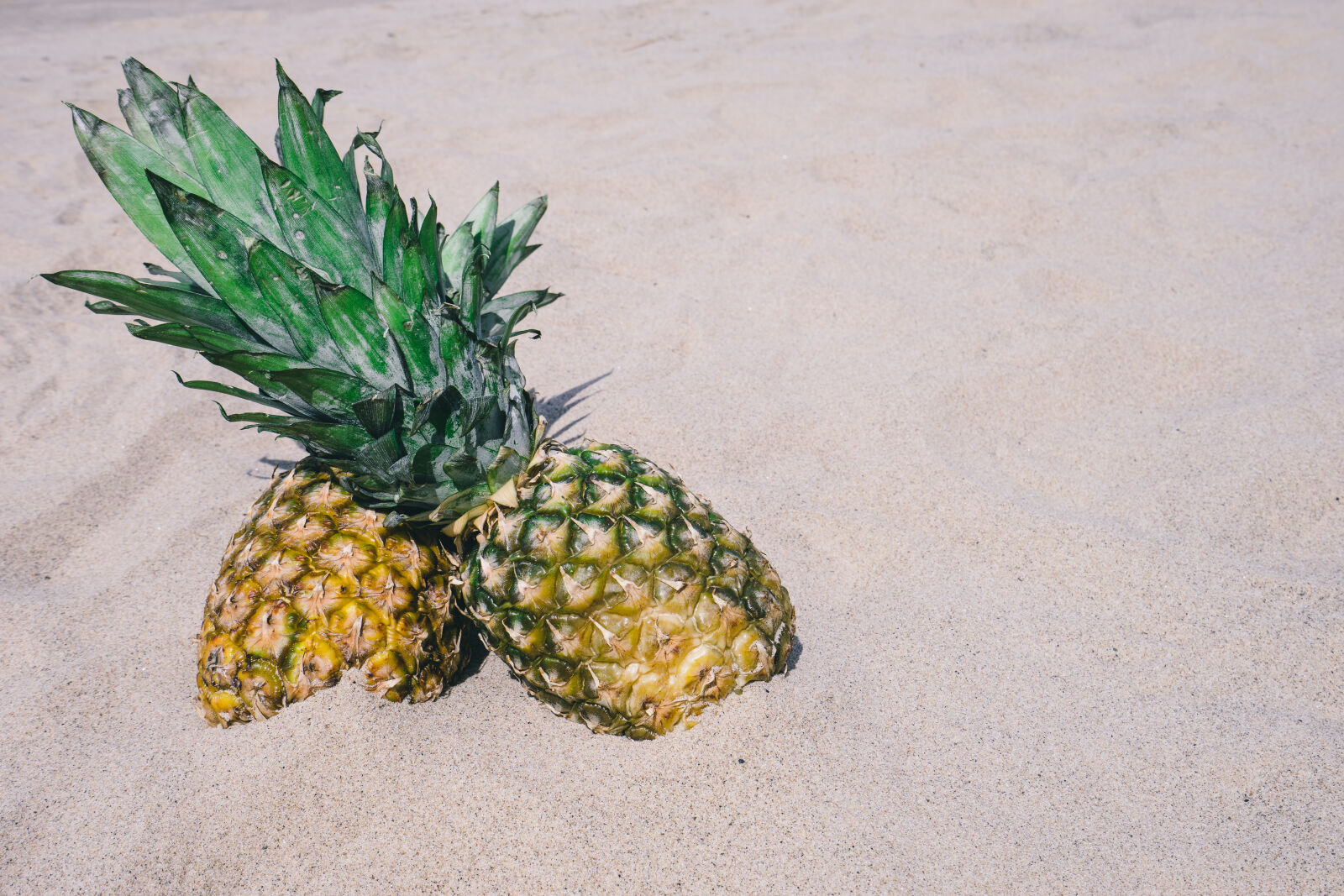 Sony a7 II + Sony Vario-Tessar T* FE 16-35mm F4 ZA OSS sample photo. Beach, color, exotic, flora photography