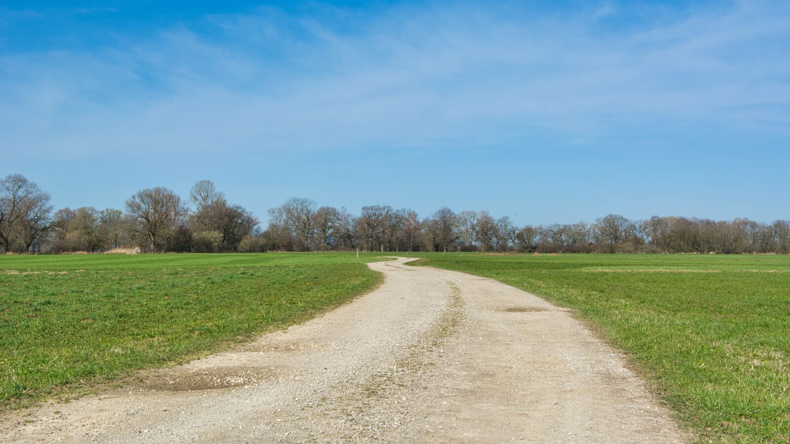 Nikon D7100 sample photo. Lane, away, nature photography