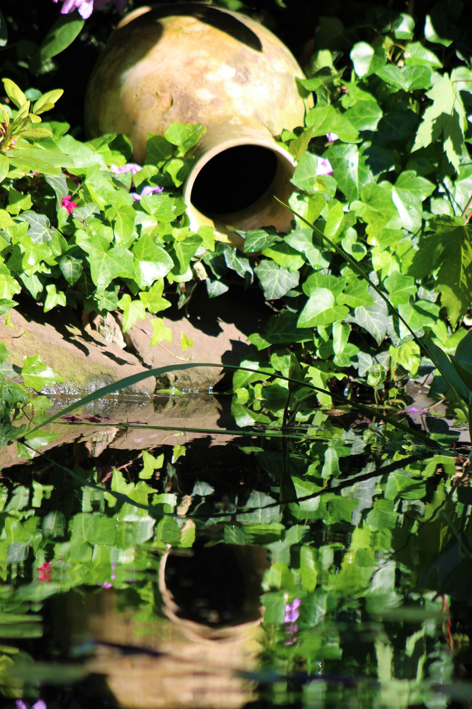 Canon EF75-300mm f/4-5.6 sample photo. Mirroring, water, lake photography