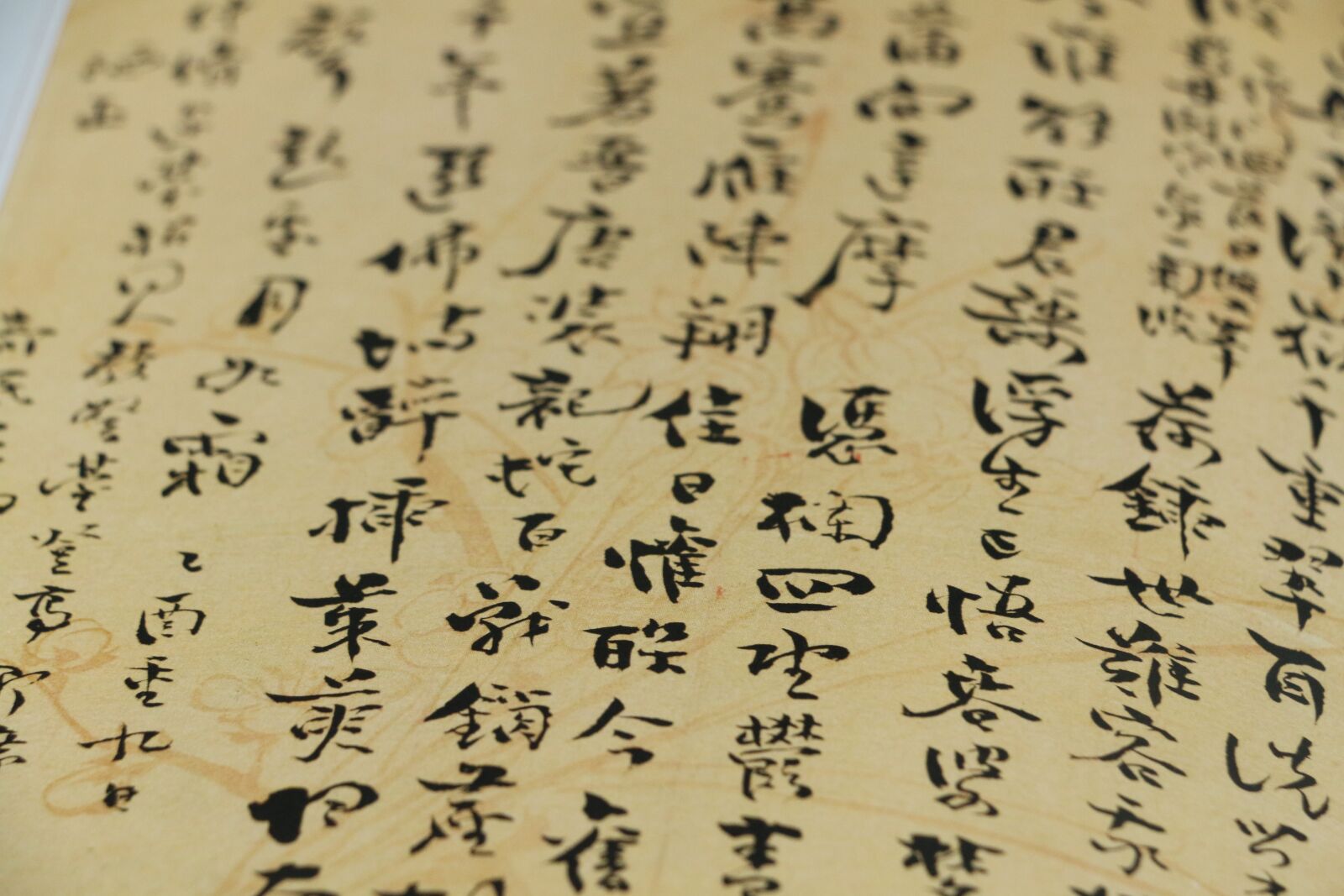 Canon EOS 70D sample photo. China, chinese character, books photography