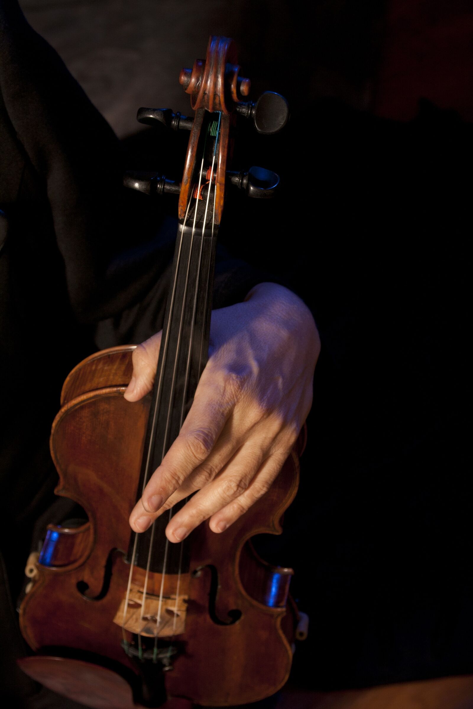 Canon EOS 1000D (EOS Digital Rebel XS / EOS Kiss F) sample photo. Violin, violinist, strings photography