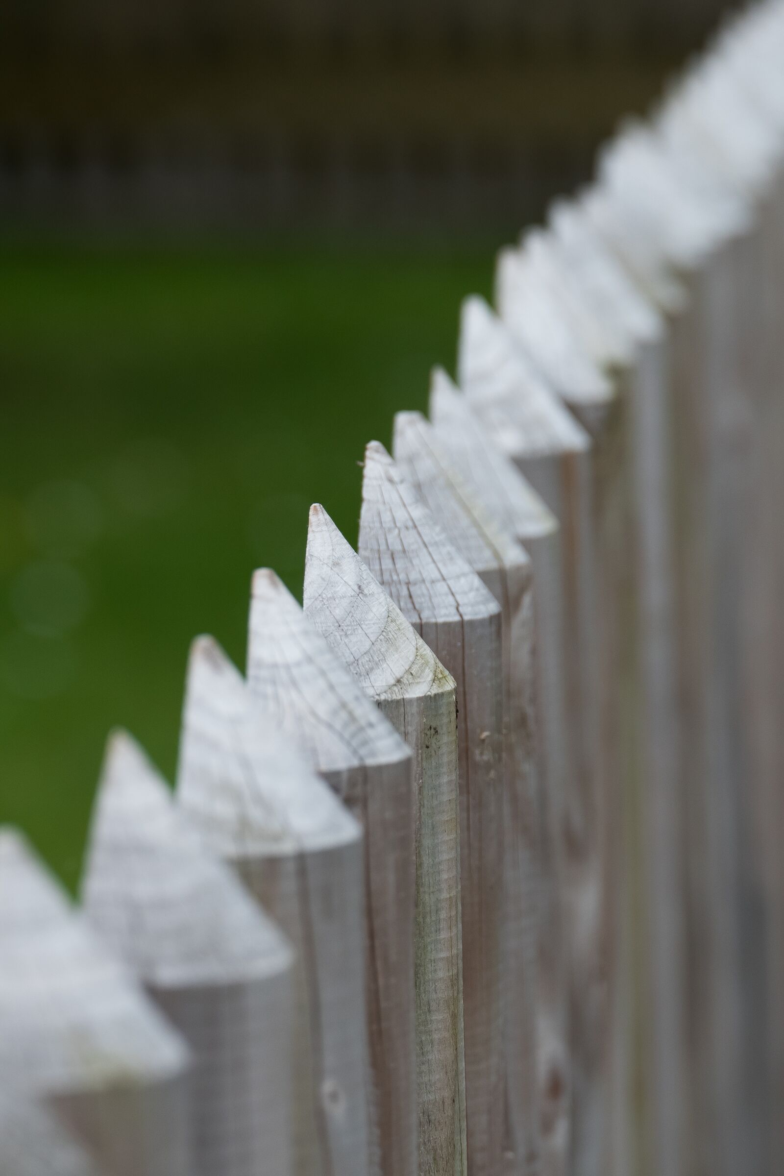 Leica V-Lux (Typ 114) sample photo. Fence, wood, pointed photography