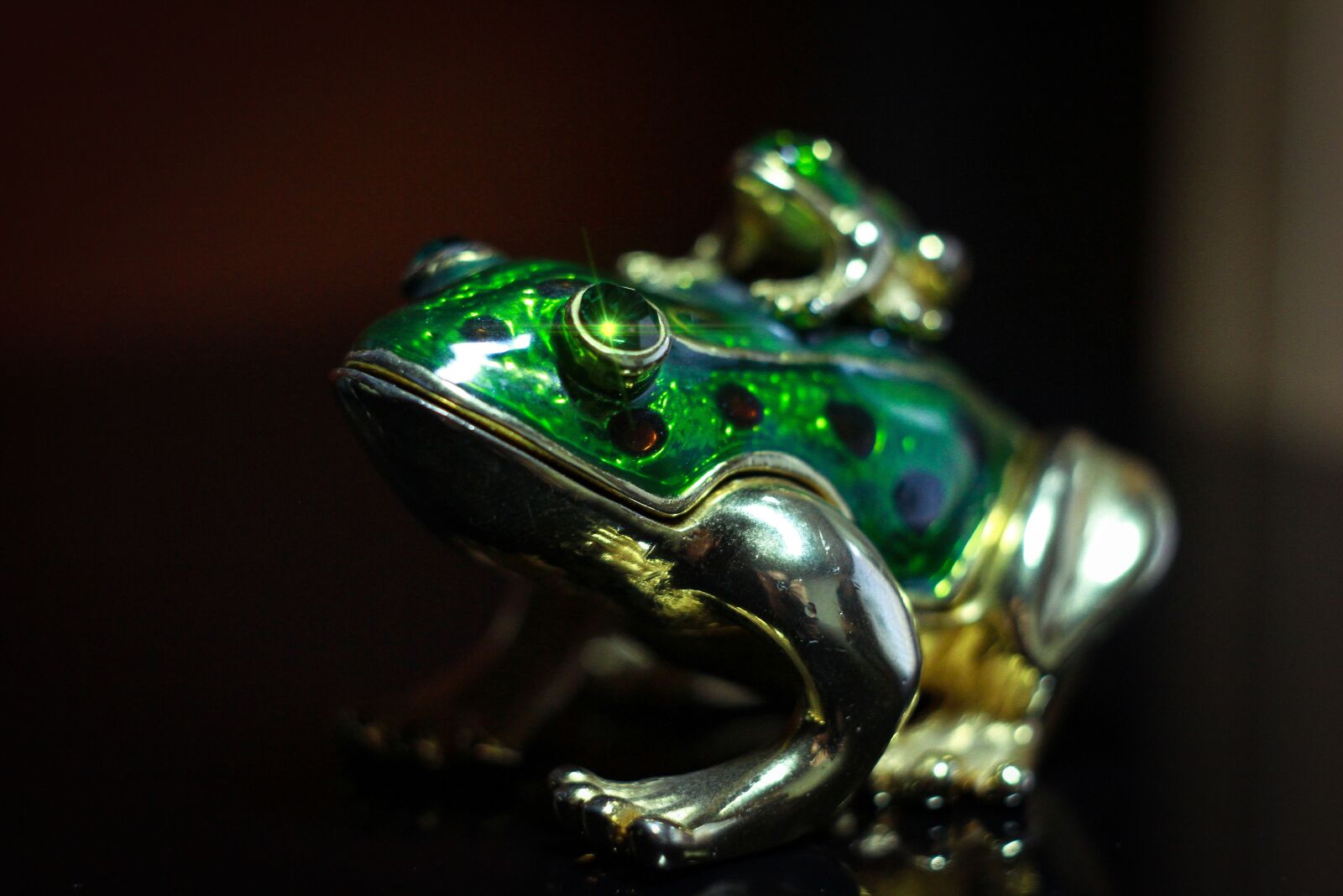 Canon EOS 7D sample photo. Frog, green, amphibian photography