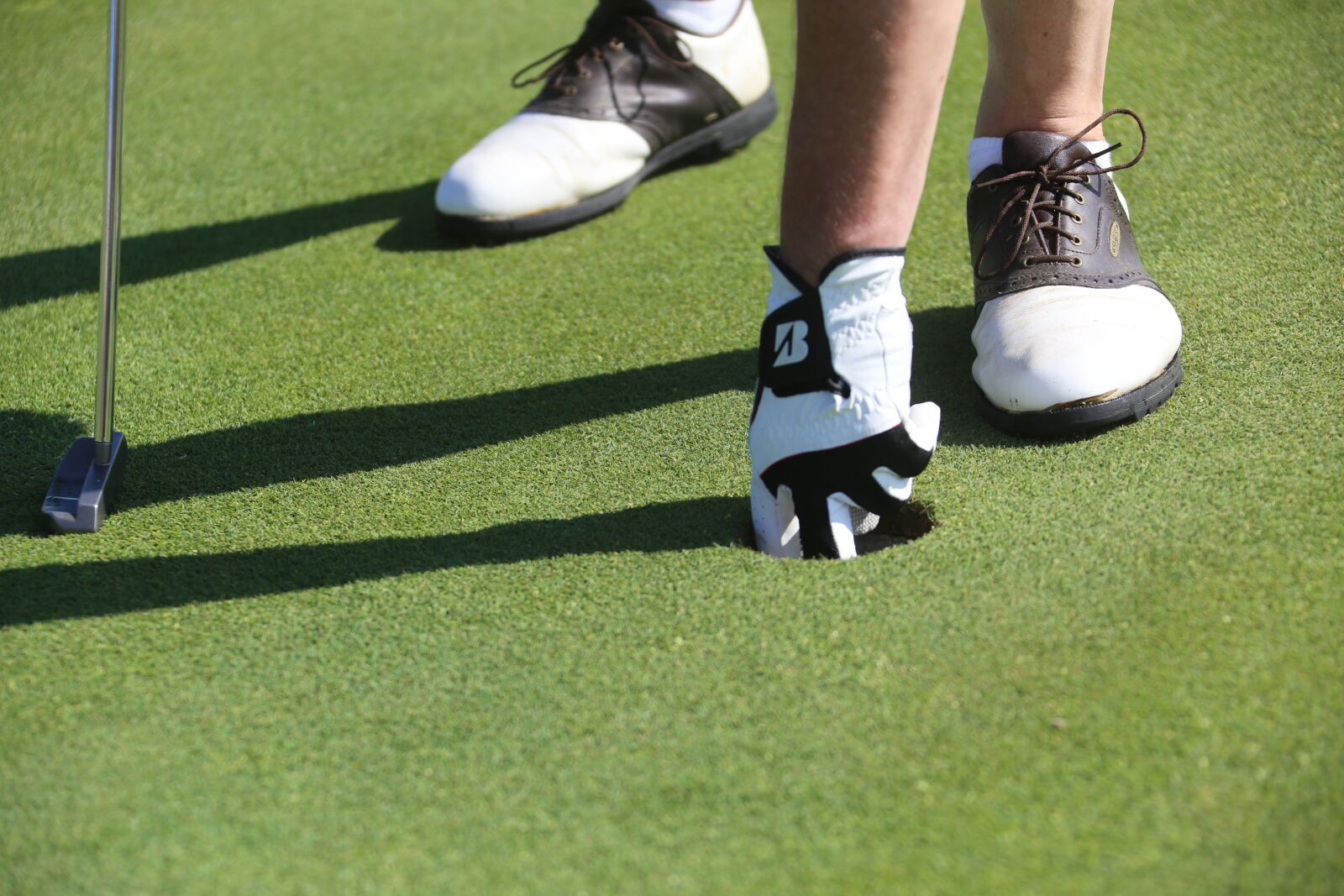 Canon EOS 6D sample photo. Golf, putting, green photography
