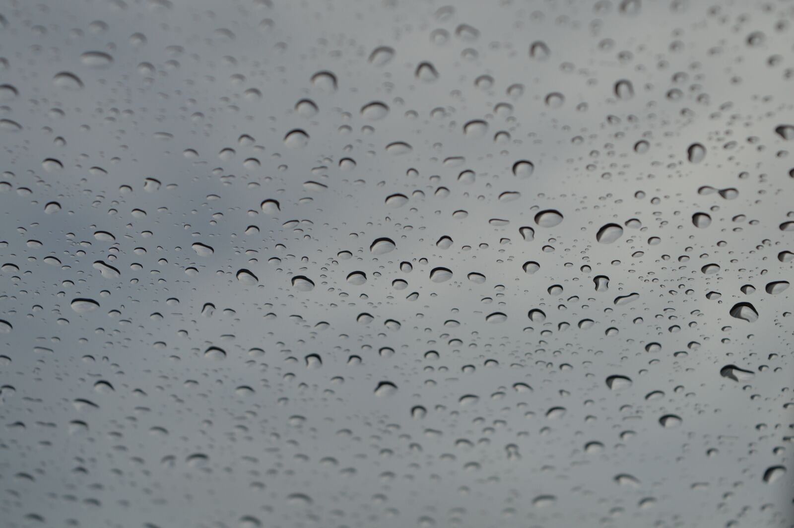 Nikon D3200 sample photo. Rain, raindrops, water photography