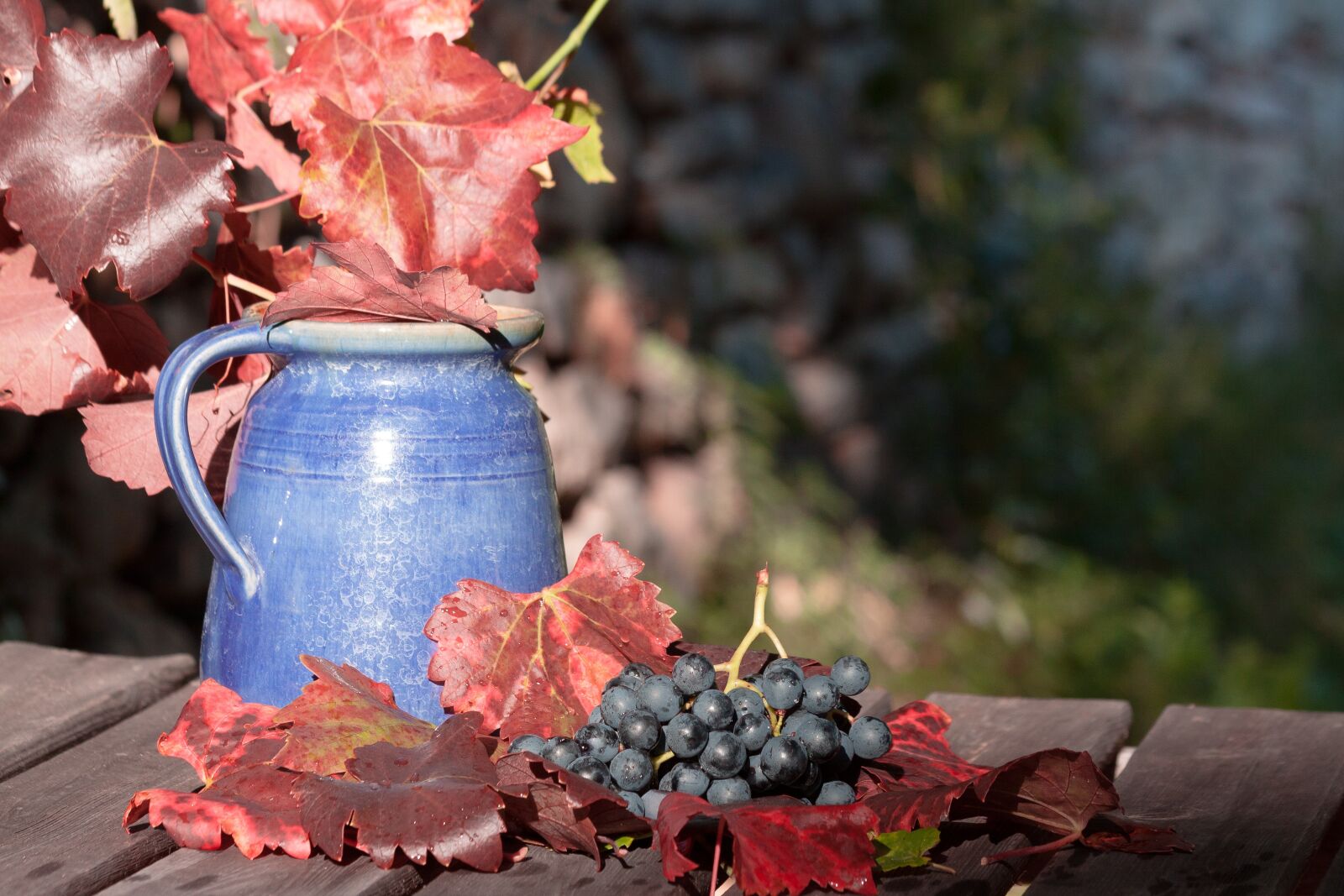 Canon EOS 50D sample photo. Wine, grape, leaf photography