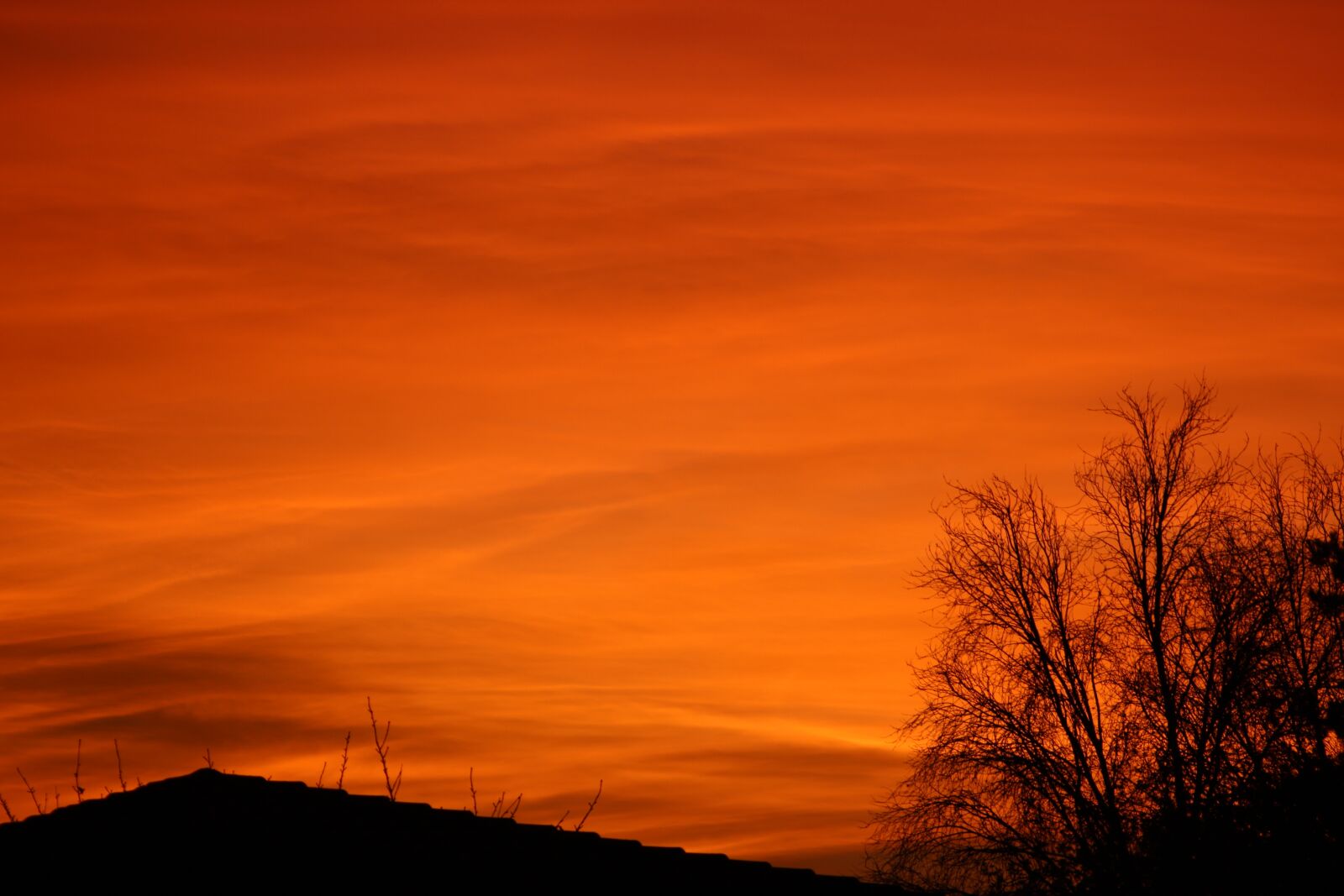 Canon EOS 600D (Rebel EOS T3i / EOS Kiss X5) sample photo. Sunset, sky, evening photography