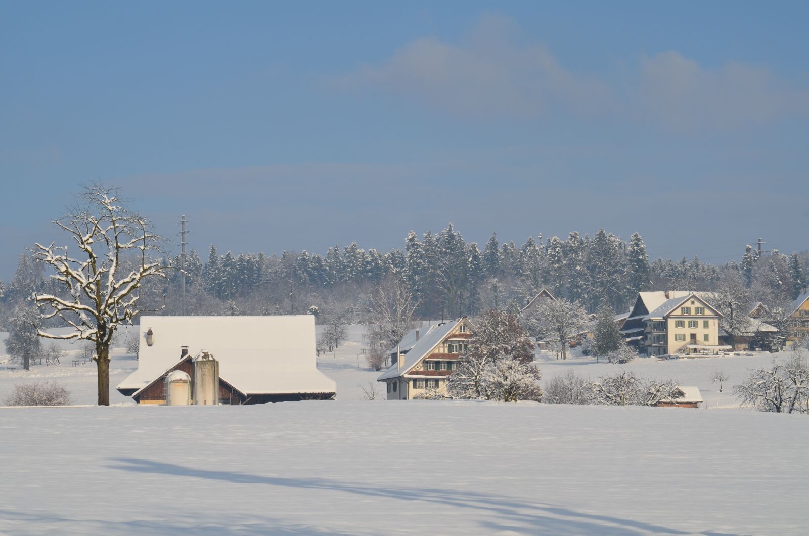 Nikon D5100 sample photo. Winter, snow, wintry photography