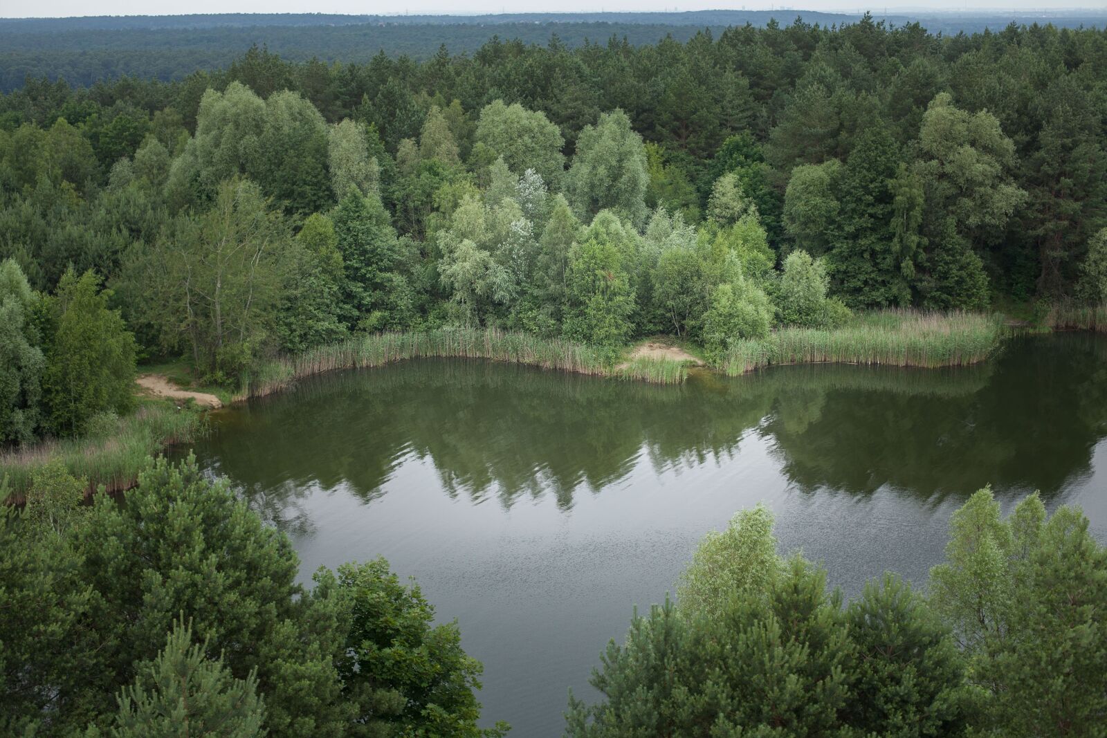 Canon EOS 5D Mark II sample photo. Lakes, tree, water photography
