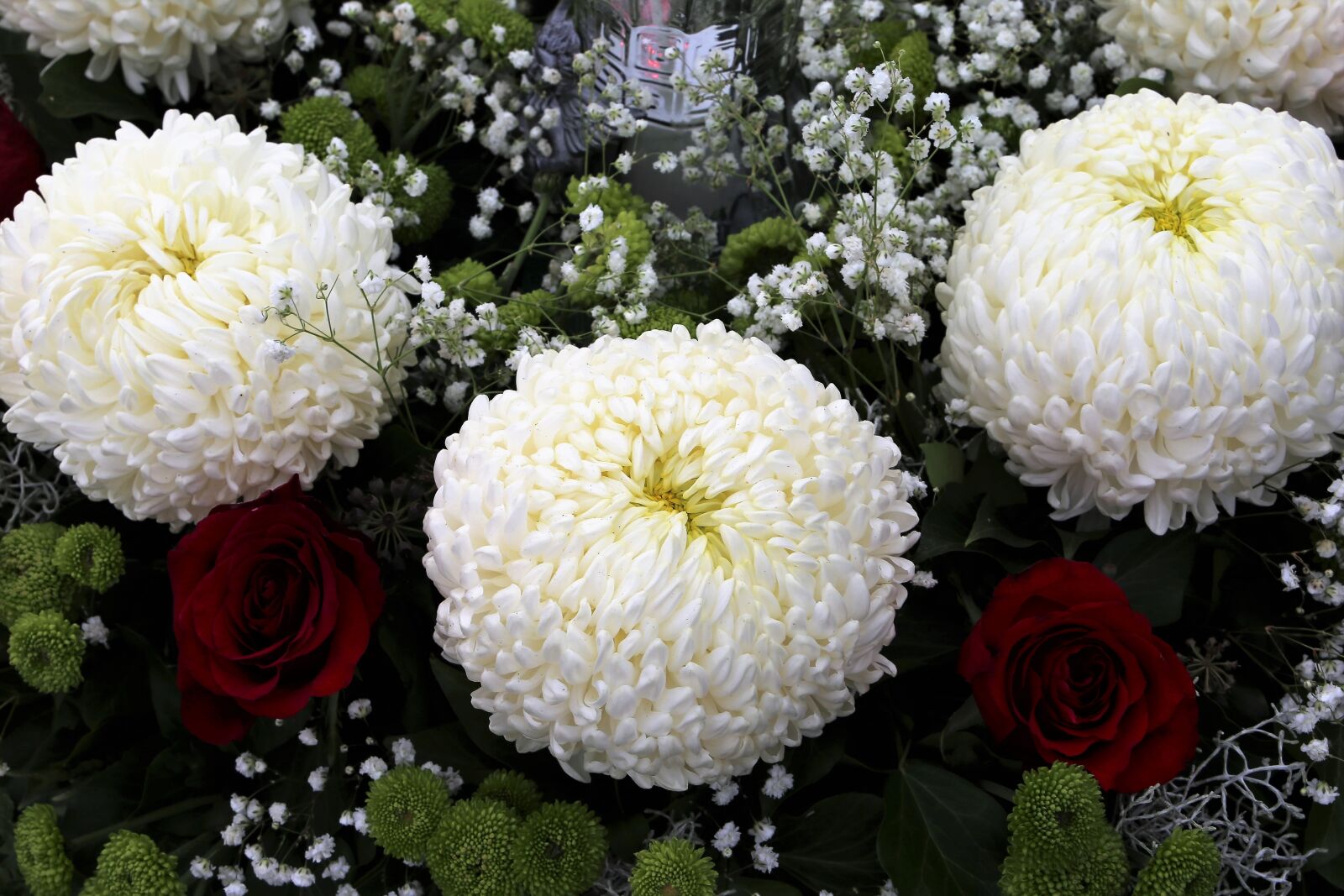 Canon EF 24-105mm F3.5-5.6 IS STM sample photo. White crisanthema, red roses photography